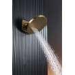 Samuel Müeller SMDSHR2FR-CB Remington 13-in x 13-in Two Function Round Showerhead, Champagne Bronze