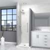 Samuel Müeller SMEHTA257610C-BK-BS Ethan 25-in W x 76-in H Hinged Shower Door in Brushed Stainless with Clear Glass