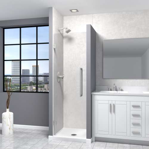 Samuel Müeller SMEHTA247610C-T-BS Ethan 24-in W x 76-in H Hinged Shower Door in Brushed Stainless with Clear Glass
