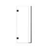 Ethan 31.5-in W x 76-in H Hinged Shower Door in Matte Black with Clear Glass, SMEHTB-315257610C-MB