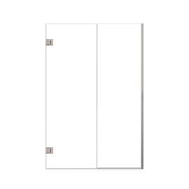 Ethan 49-in W x 76-in H Hinged Shower Door in Brushed Stainless with Clear Glass, SMEHTB-49257610C-BS