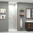 Samuel Müeller SMEHTB30247610C-BK-CB Ethan 30-in W x 76-in H Hinged Shower Door in Champagne Bronze with Clear Glass