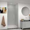 Samuel Müeller SMEHTB41297610C-BK-BS Ethan 41-in W x 76-in H Hinged Shower Door in Brushed Stainless with Clear Glass