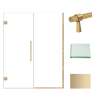 Samuel Müeller SMEHTB58287610C-BK-CB Ethan 58-in W x 76-in H Hinged Shower Door in Champagne Bronze with Clear Glass