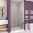 Ethan 40-in W x 76-in H Hinged Shower Door in Polished Chrome with Clear Glass, SMEHTD-40287610C-PC