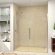 Ethan 60.5-in W x 76-in H Hinged Shower Door in Brushed Stainless with Clear Glass, SMEHTD-605247610C-BS