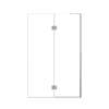 Ethan 48-in W x 76-in H Hinged Shower Door in Brushed Stainless with Clear Glass, SMEHTE-48247610C-BS