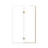 Ethan 48-in W x 76-in H Hinged Shower Door in Champagne Bronze with Clear Glass, SMEHTE-48247610C-CB
