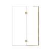 Ethan 50-in W x 76-in H Hinged Shower Door in Champagne Bronze with Clear Glass, SMEHTE-50267610C-CB