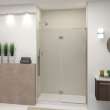 Ethan 48-in W x 76-in H Hinged Shower Door in Brushed Stainless with Clear Glass, SMEHTE-48247610C-BS