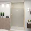 Ethan 48-in W x 76-in H Hinged Shower Door in Champagne Bronze with Clear Glass, SMEHTE-48247610C-CB