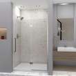 Ethan 50-in W x 76-in H Hinged Shower Door in Brushed Stainless with Clear Glass, SMEHTE-50267610C-BS