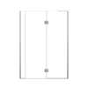 Ethan 55-in W x 76-in H Hinged Shower Door in Brushed Stainless with Clear Glass, SMEHTF-55247610C-BS