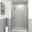 Ethan 55-in W x 76-in H Hinged Shower Door in Brushed Stainless with Clear Glass, SMEHTF-55247610C-BS