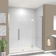 Samuel Müeller SMEHTF70287610C-T-BS Ethan 70-in W x 76-in H Hinged Shower Door in Brushed Stainless with Clear Glass