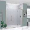 Samuel Müeller SMEHTF72247610C-BK-BS Ethan 72-in W x 76-in H Hinged Shower Door in Brushed Stainless with Clear Glass
