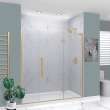 Samuel Müeller SMEHTF72247610C-T-CB Ethan 72-in W x 76-in H Hinged Shower Door in Champagne Bronze with Clear Glass