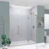 Samuel Müeller SMEHTF73257610C-BK-BS Ethan 73-in W x 76-in H Hinged Shower Door in Brushed Stainless with Clear Glass