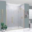 Samuel Müeller SMEHTF74267610C-BK-CB Ethan 74-in W x 76-in H Hinged Shower Door in Champagne Bronze with Clear Glass