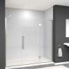 Samuel Müeller SMEHTF78307610C-BK-BS Ethan 78-in W x 76-in H Hinged Shower Door in Brushed Stainless with Clear Glass