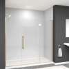 Samuel Müeller SMEHTF78307610C-BK-CB Ethan 78-in W x 76-in H Hinged Shower Door in Champagne Bronze with Clear Glass