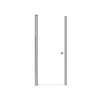 Lydia 29-in X 70-in Pivot Shower Door with 1/4-in Clear Glass and Contour Handle, Brushed Stainless