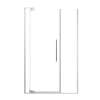 Samuel Müeller SMRDPD4876108C-BS Reverie Duo 48-in x 76-in Pivot Shower Door With 5/16-in Clear Glass And Sampson Double-Sided Handles, Brushed Stainless