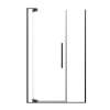 Samuel Müeller SMRDPD4876108C-MB Reverie Duo 48-in x 76-in Pivot Shower Door With 5/16-in Clear Glass And Sampson Double-Sided Handles, Matte Black