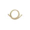 Samuel Müeller SMSHPVC71-CB 71-in PVC Shower Hose, Champagne Bronze