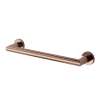 Samuel Müeller SMTS16-MB Tyler 16-in Grab Bar With 1-in Diameter, Champagne Bronze