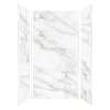 Samuel Müeller SMTWK483696-KI80H Trinity 48-in x 36-in x 96-in 3-Piece Shower Wall Kit, Everest Gold (Honed)