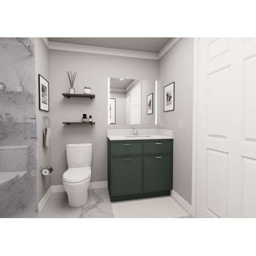 Framington 36-in x 21-in x 33-in Assembled Slim Shaker Double Door Double Drawer Front ADA Vanity Sink Base Cabinet, Green, SMVS36-ADA-ASM-FR02-GR