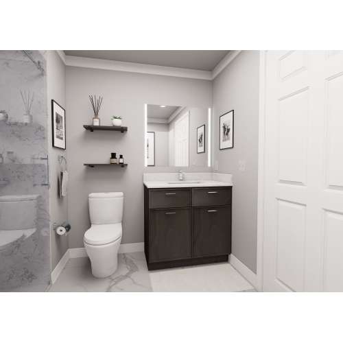 Framington 36-in x 21-in x 33-in Assembled Slim Shaker Double Door Double Drawer Front ADA Vanity Sink Base Cabinet, Smokey Grey, SMVS36-ADA-ASM-FR02-SG